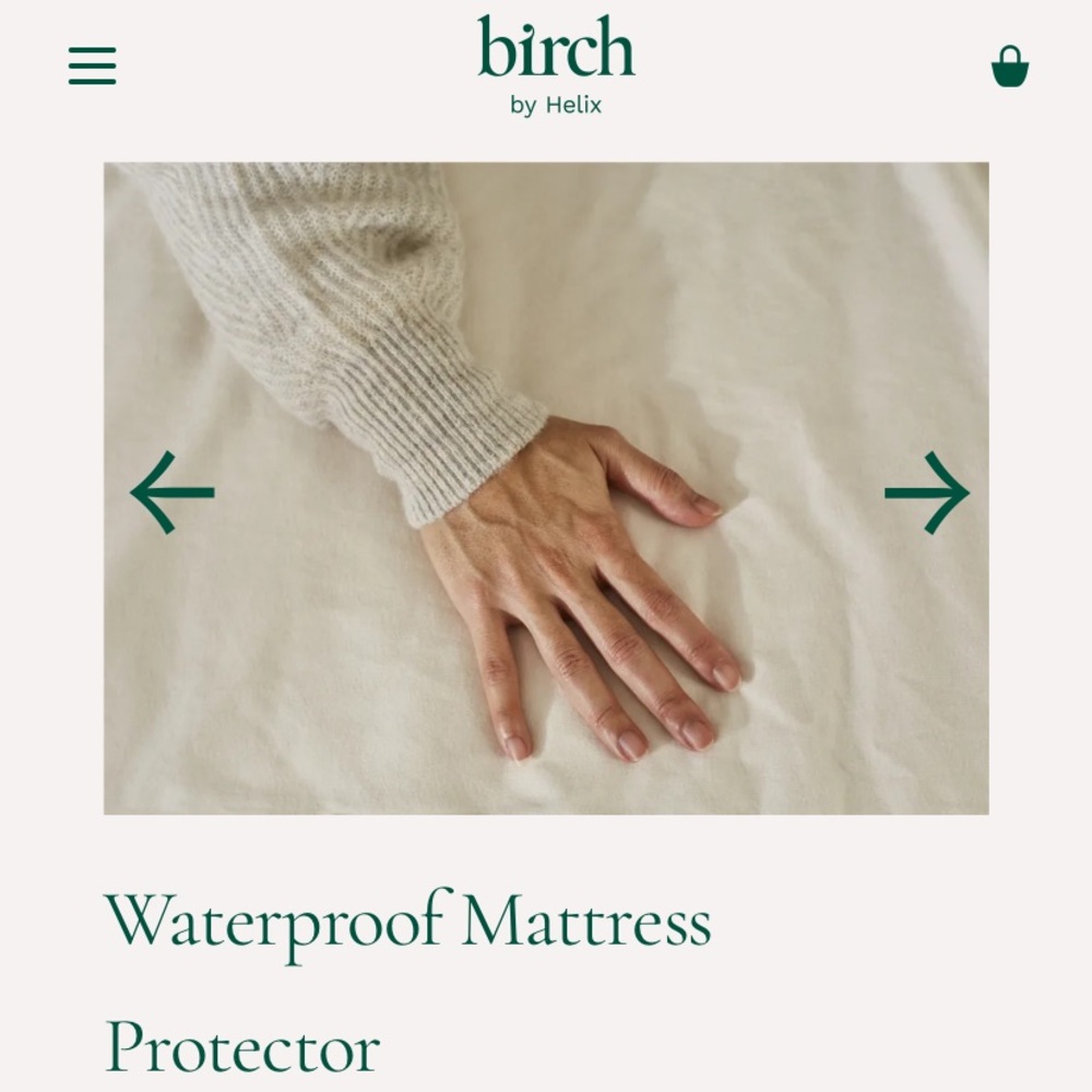 Birch Living Queen Mattress Protector